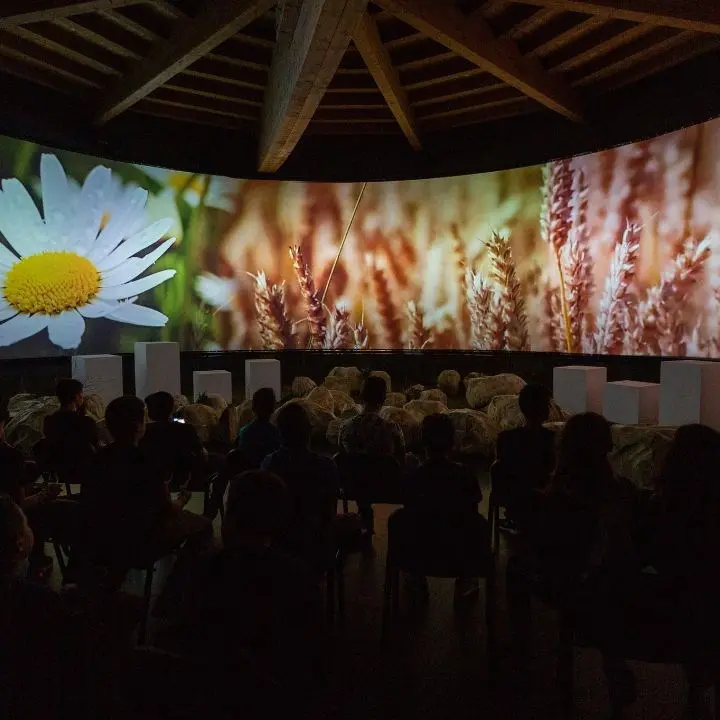 Sila Science Park: un’esperienza multisensoriale a bocca aperta tra museo, laboratori e buona cucina