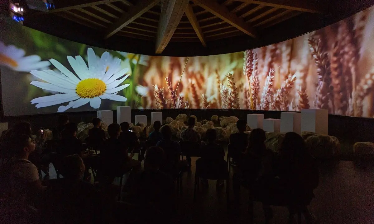 Sila Science Park: un’esperienza multisensoriale a bocca aperta tra museo, laboratori e buona cucina