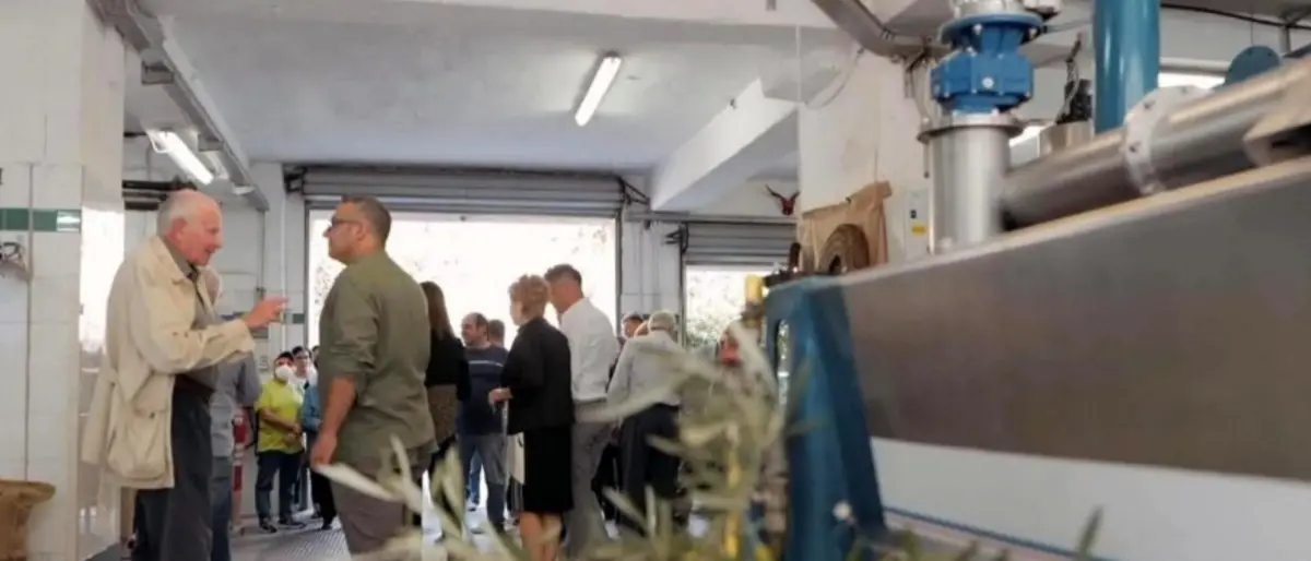 Cento anni, quattro generazioni e un frantoio: l’olio calabrese è una tradizione di famiglia