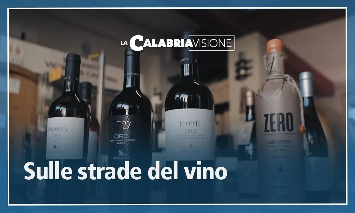 Vino Cirò, il racconto dei produttori: «“Vendiamo” il territorio creando economia e conoscenza»