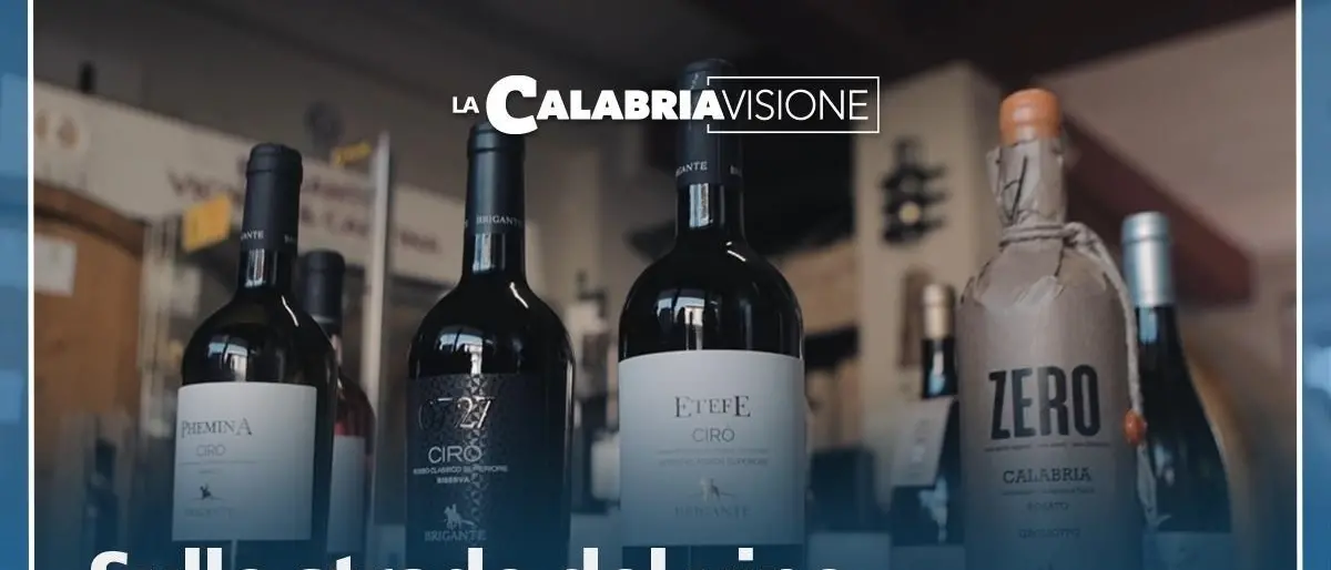 Vino Cirò, il racconto dei produttori: «“Vendiamo” il territorio creando economia e conoscenza»