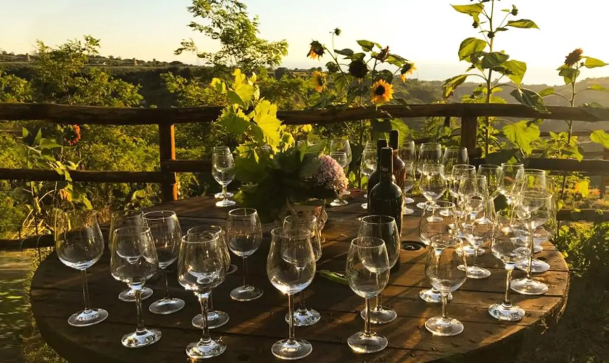 Calabria terra di vini, ecco sei cantine da non perdere tra degustazioni e meravigliosi scorci