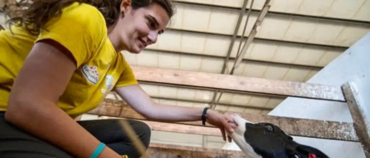 Lascia Amazon per tornare a Fattoria della Piana: «La Calabria ha grandi risorse per costruire un futuro diverso»