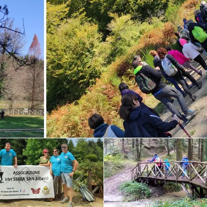 I nuovi percorsi trekking dell’associazione “Vivi Serra”: viaggio alla scoperta dei siti calabresi più suggestivi