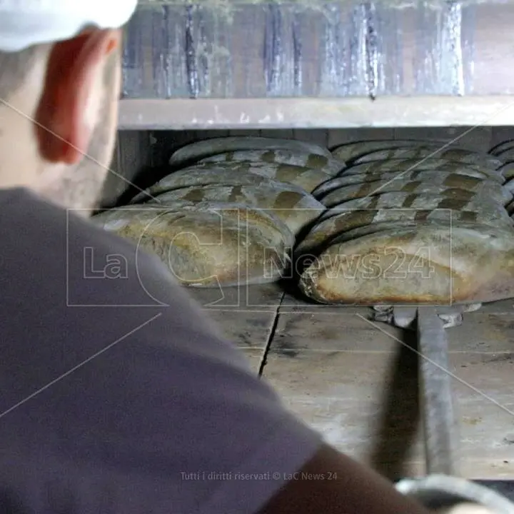 Sacrifici, rinunce ma tanta passione: a Serra San Bruno ogni giorno rivive l’arte della panificazione