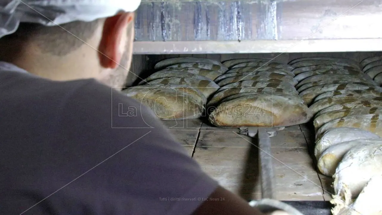 Sacrifici, rinunce ma tanta passione: a Serra San Bruno ogni giorno rivive l’arte della panificazione