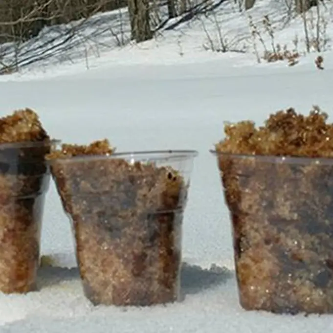 È ora della scirubetta: ha origini calabresi il primo “gelato” della storia