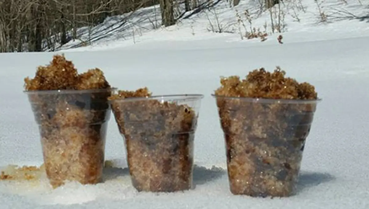 È ora della scirubetta: ha origini calabresi il primo “gelato” della storia