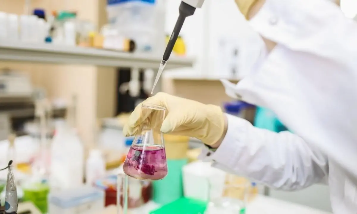 A Rende in arrivo la seconda edizione del Festival della scienza e delle curiosità