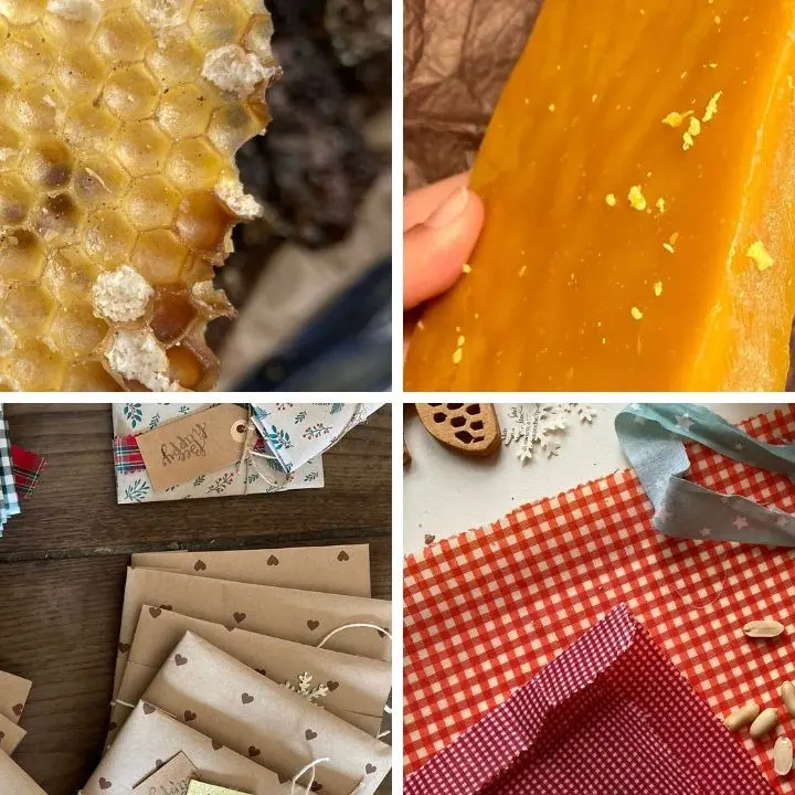 Involucri sostenibili per alimenti: l’Apellicola di Francesca Arcuri fatta con cera d’api è già un successo