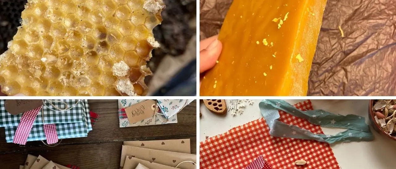 Involucri sostenibili per alimenti: l’Apellicola di Francesca Arcuri fatta con cera d’api è già un successo