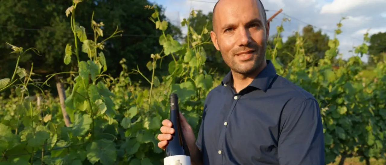 Lo zibibbo di Francavilla Angitola tra i migliori vini bianchi d’Italia