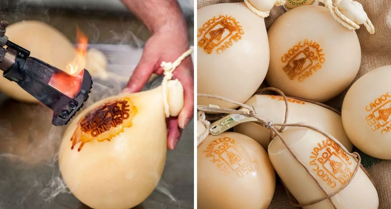 Il Caciocavallo Silano piace sempre di più: è nella top ten dei prodotti Dop e Igp italiani in maggiore crescita\n