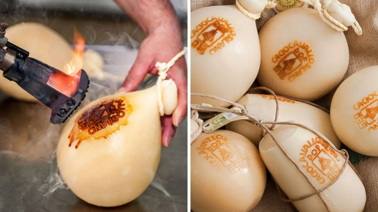 Il Caciocavallo Silano piace sempre di più: è nella top ten dei prodotti Dop e Igp italiani in maggiore crescita\n