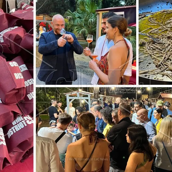 Cosenza Wine District, un viaggio tra vini e gioie per il palato nel cuore del centro storico