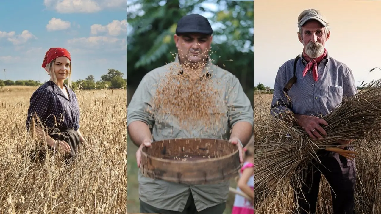 Le vie del grano a Falerna: un salto nel passato e nelle tradizioni