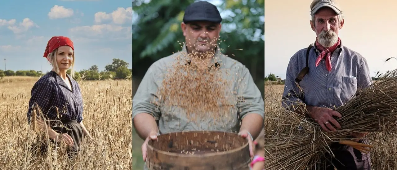 Le vie del grano a Falerna: un salto nel passato e nelle tradizioni