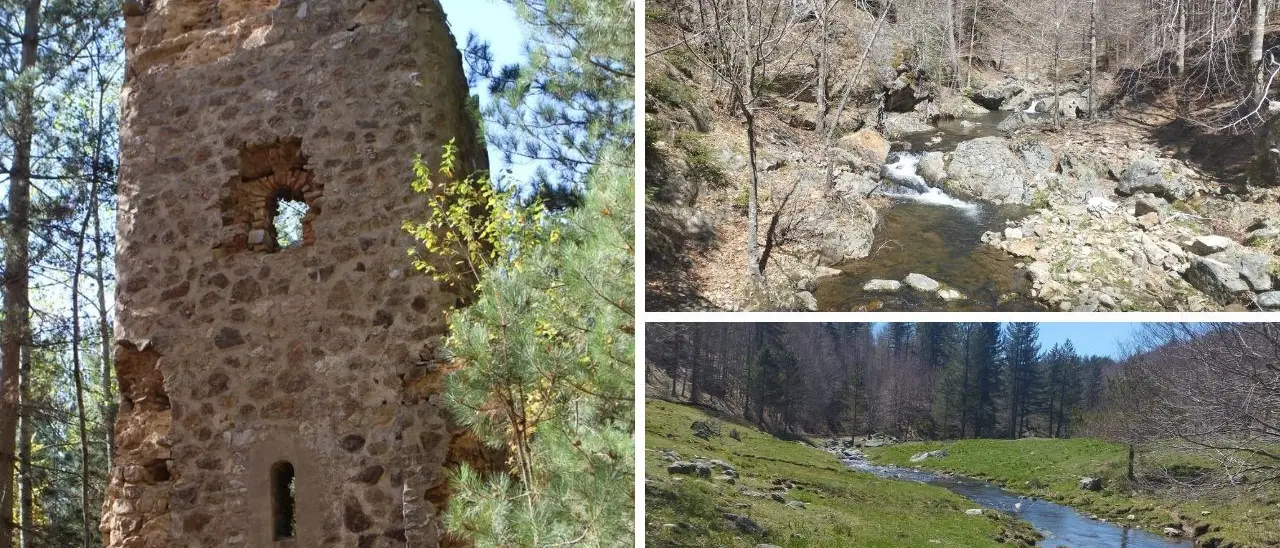 Una torre, una marchesa e un bosco: benvenuti a Buturo, angolo fiabesco nel cuore della Sila più incontaminata