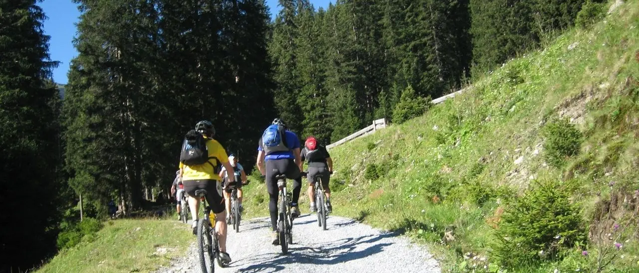 Ciclovia dei Parchi della Calabria: in bici alla scoperta di parchi naturali e aree protette