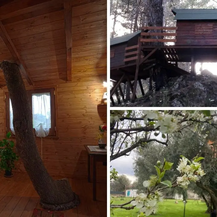 Le casette sull’albero in Calabria: un viaggio immersi nella natura per ritornare bambini