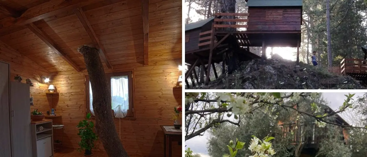 Le casette sull’albero in Calabria: un viaggio immersi nella natura per ritornare bambini