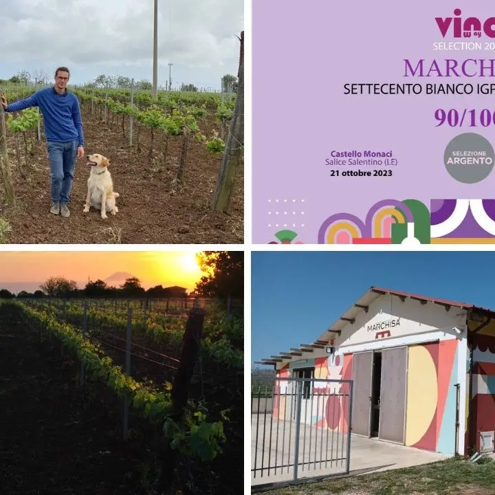 La cantina vibonese Marchisa medaglia d’argento al concorso Migliori vini d’Italia