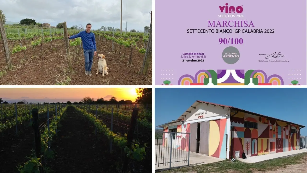 La cantina vibonese Marchisa medaglia d’argento al concorso Migliori vini d’Italia