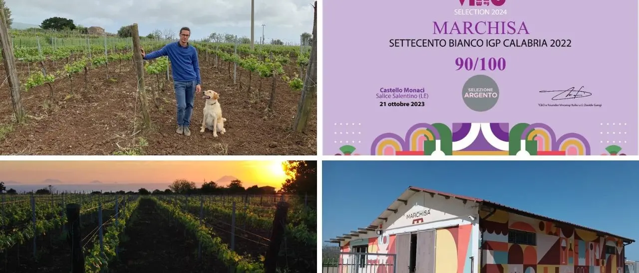 La cantina vibonese Marchisa medaglia d’argento al concorso Migliori vini d’Italia
