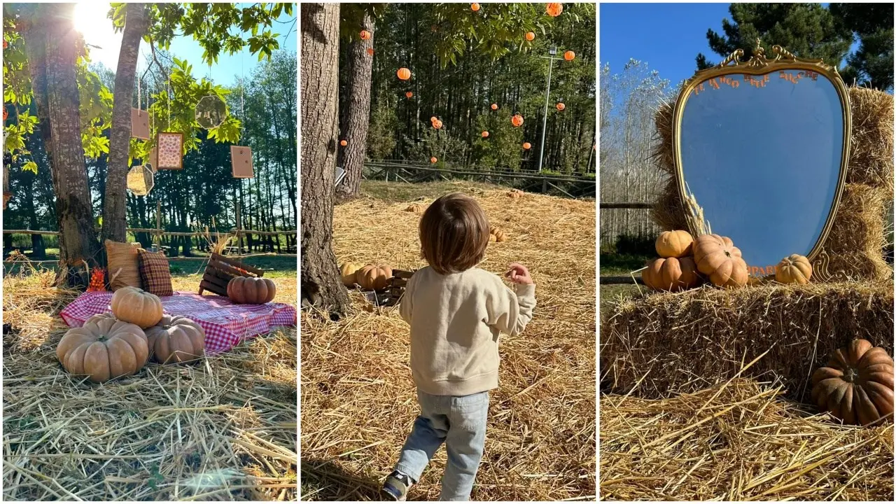 Il Parco delle zucche nel cuore dell’Aspromonte: esperienza indimenticabile nella natura. E Halloween non c’entra nulla