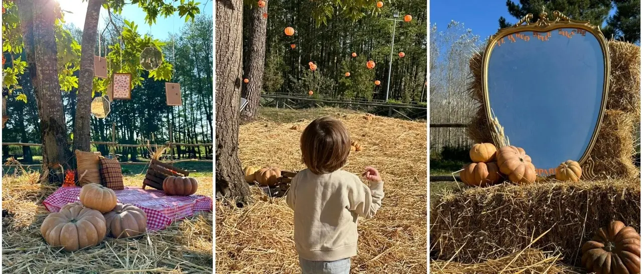 Il Parco delle zucche nel cuore dell’Aspromonte: esperienza indimenticabile nella natura. E Halloween non c’entra nulla