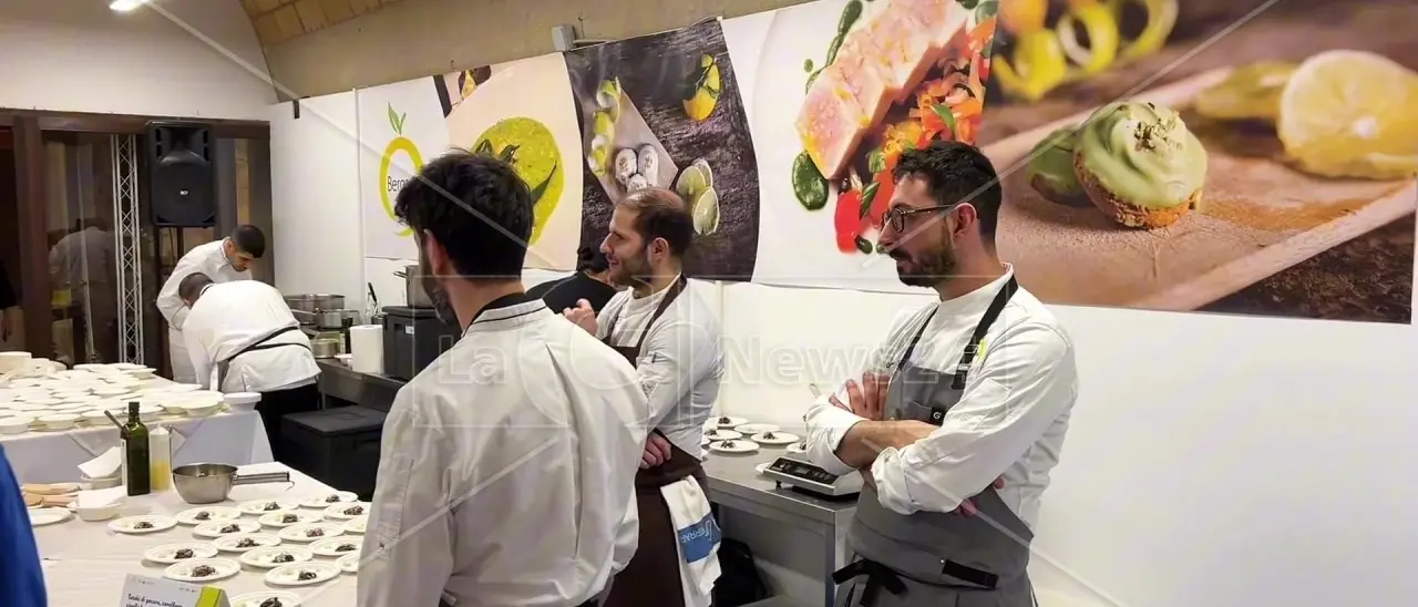 Il bergamotto entra in cucina: il ricettario della Camera di commercio valorizza il frutto simbolo di Reggio\n