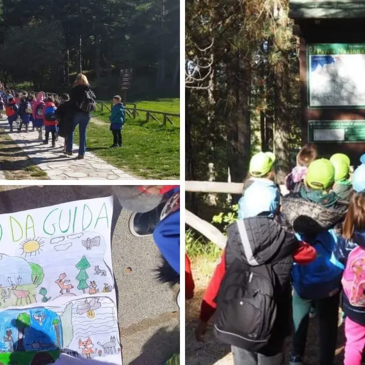 A scuola nel parco, oltre 550 bambini nel cuore della Sila per imparare ad amare la propria terra