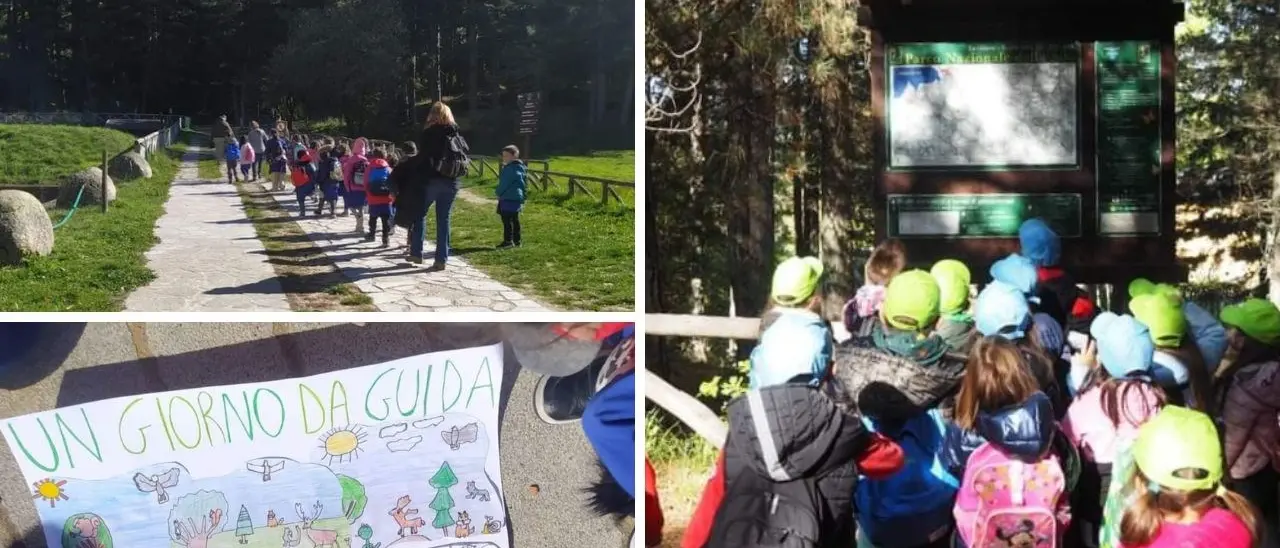 A scuola nel parco, oltre 550 bambini nel cuore della Sila per imparare ad amare la propria terra