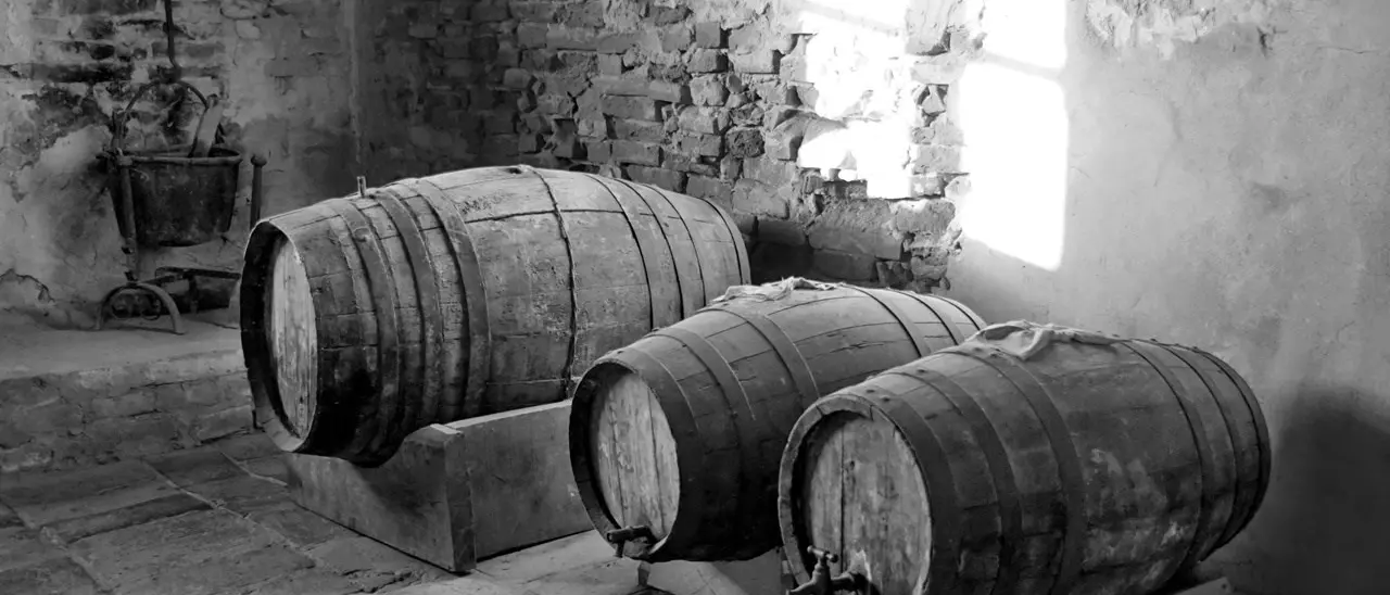San Martino in Calabria tra mosto che diventa vino e l’antica leggenda del brigante sepolto in una botte