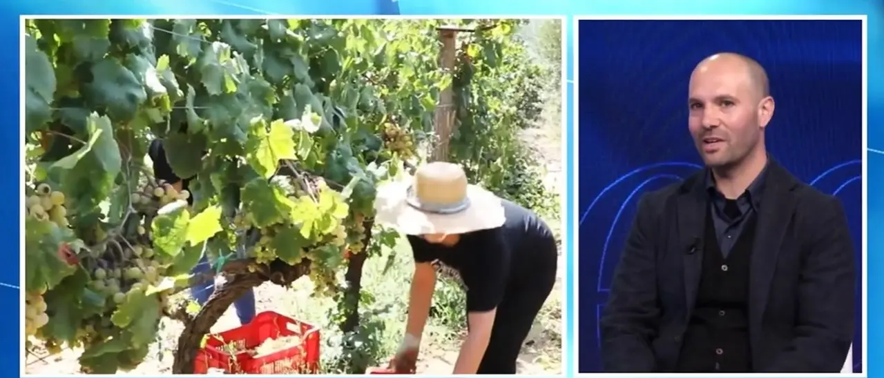 Il richiamo della terra e della famiglia, così Giovanni ha ridato vita a un vigneto dalla storia secolare: lo zibibbo