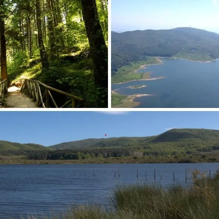 Il lago Lacina, tra le province di Vibo e Catanzaro un bacino artificiale immerso nel verde delle Serre calabresi