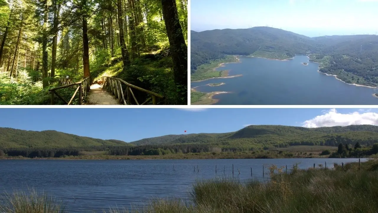 Il lago Lacina, tra le province di Vibo e Catanzaro un bacino artificiale immerso nel verde delle Serre calabresi