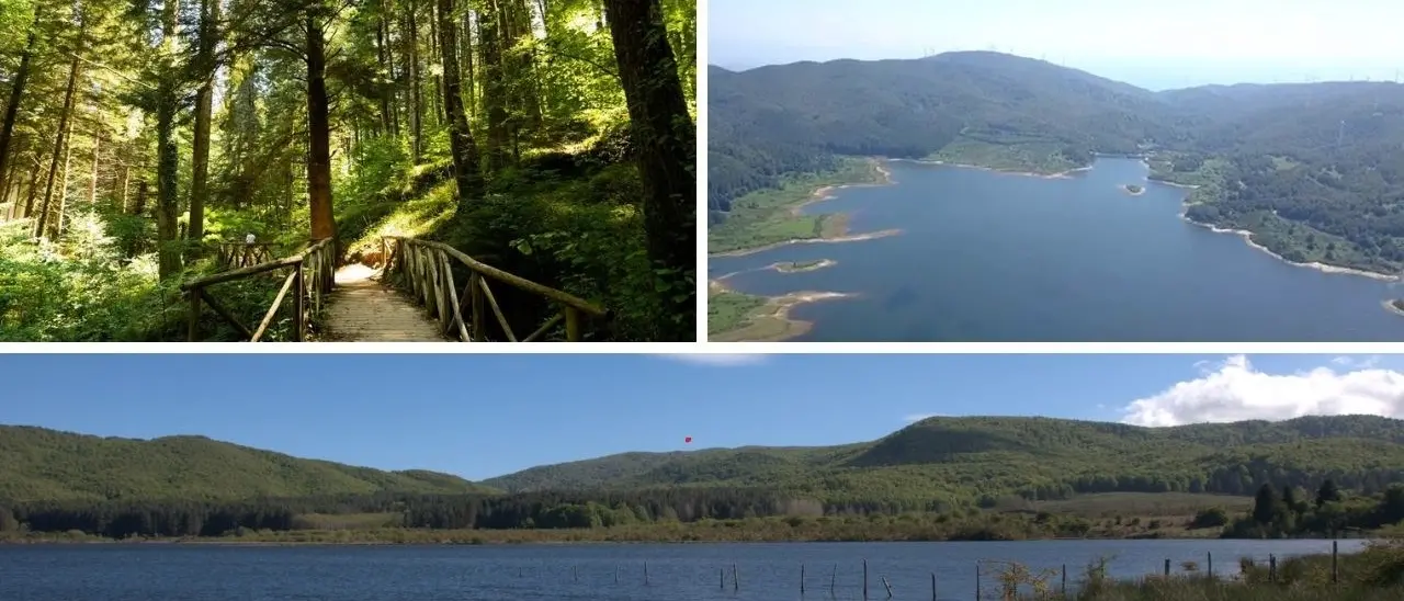 Il lago Lacina, tra le province di Vibo e Catanzaro un bacino artificiale immerso nel verde delle Serre calabresi