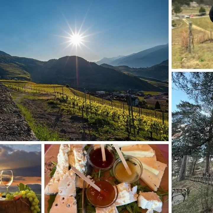Natura, storia ed enogastronomia: cinque itinerari alla scoperta della Sila