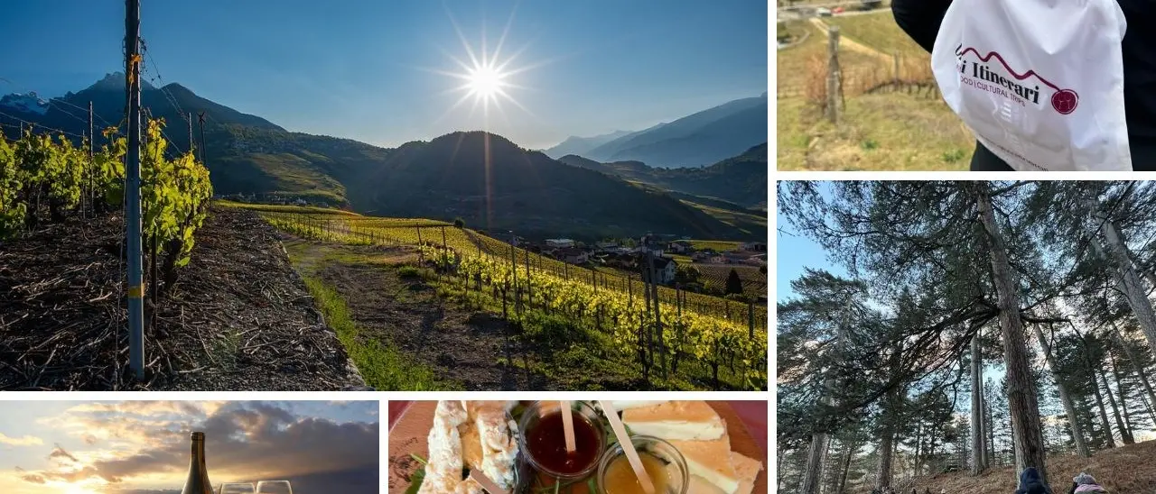 Natura, storia ed enogastronomia: cinque itinerari alla scoperta della Sila