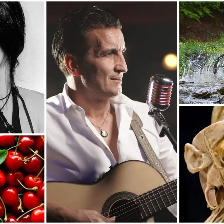 Musica, enogastronomia, cultura e fumetti: ecco gli appuntamenti in Calabria nel prossimo weekend