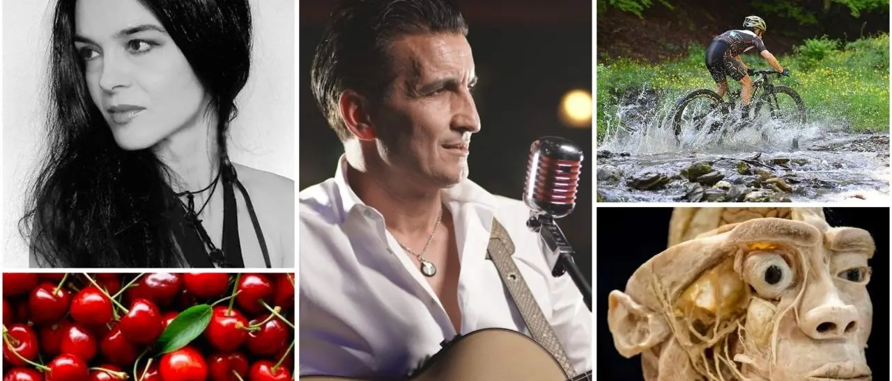 Musica, enogastronomia, cultura e fumetti: ecco gli appuntamenti in Calabria nel prossimo weekend