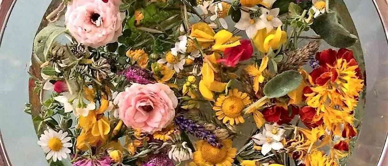 Erbe e fiori per preparare un infuso “magico” che cura e purifica: ecco l’acqua di San Giovanni
