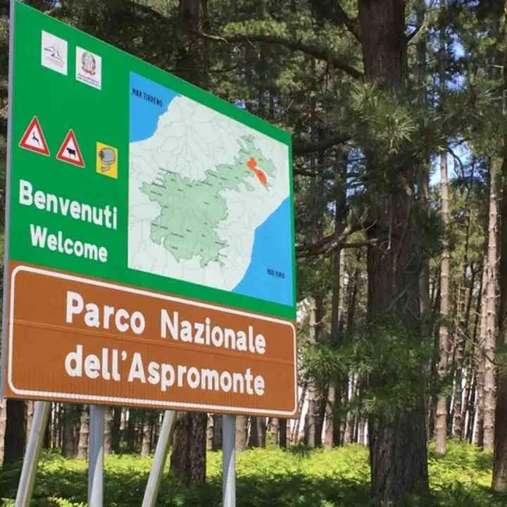 Parco Aspromonte, la denuncia di Orrico e Auddino (M5s): «12 ex Lsu estromessi ed ente paralizzato»