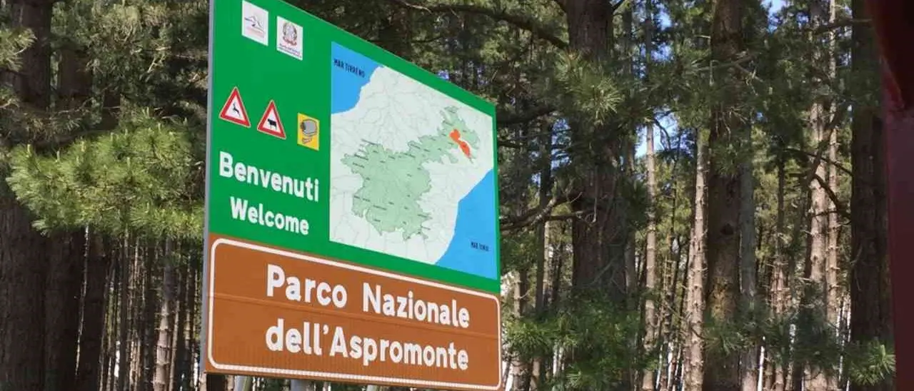 Parco Aspromonte, la denuncia di Orrico e Auddino (M5s): «12 ex Lsu estromessi ed ente paralizzato»