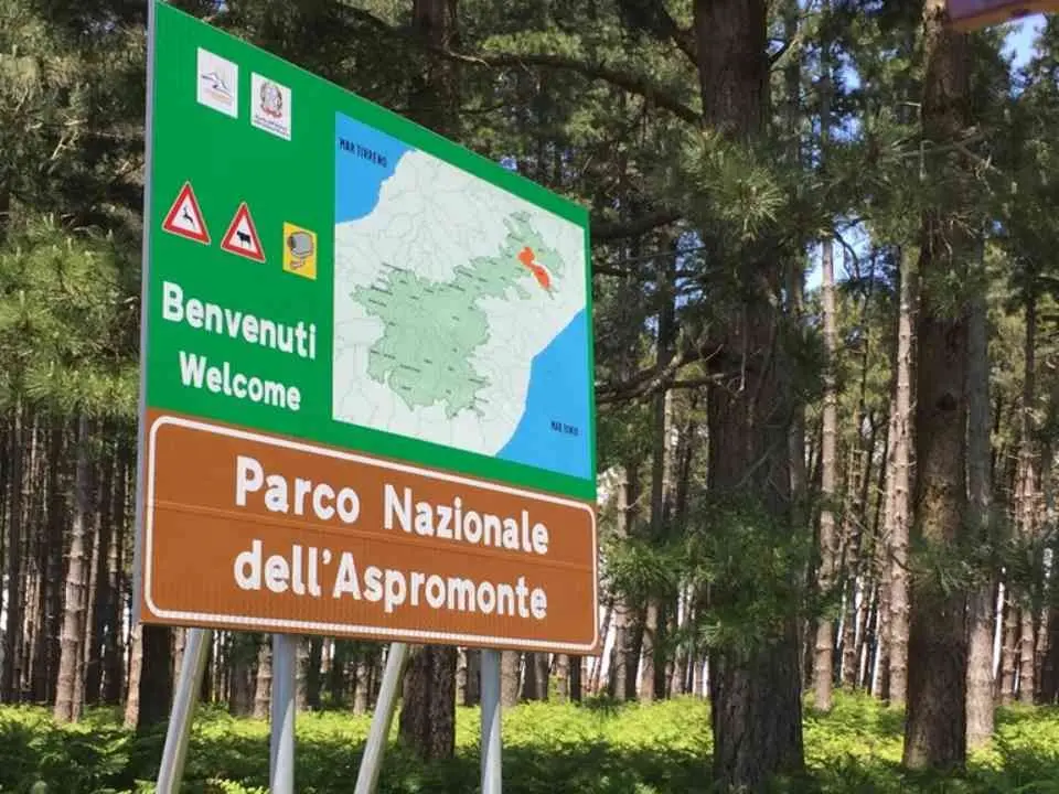 Parco Aspromonte, la denuncia di Orrico e Auddino (M5s): «12 ex Lsu estromessi ed ente paralizzato»