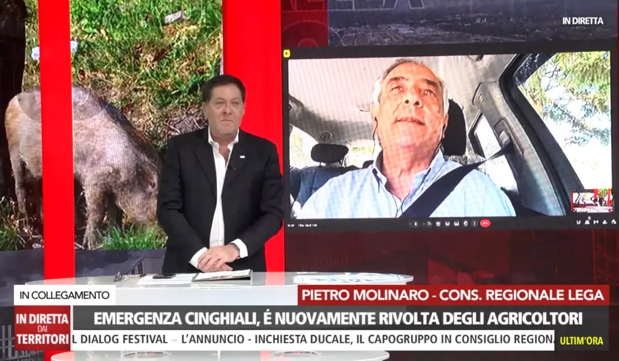 Molinaro (Lega) contro il dirigente regionale Giovinazzo: «È lui il santo protettore dei cinghiali calabresi»