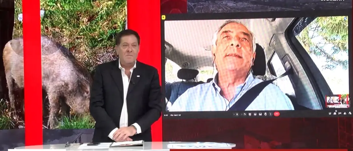 Molinaro (Lega) contro il dirigente regionale Giovinazzo: «È lui il santo protettore dei cinghiali calabresi»