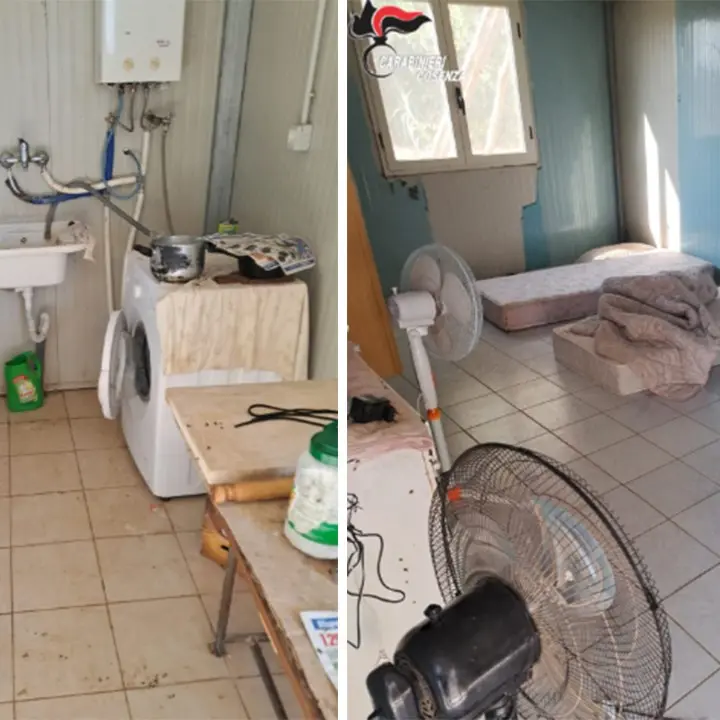 Costretti a lavorare 12 ore al giorno e dormire in un container nel degrado, sequestrata un’azienda agricola nel Cosentino