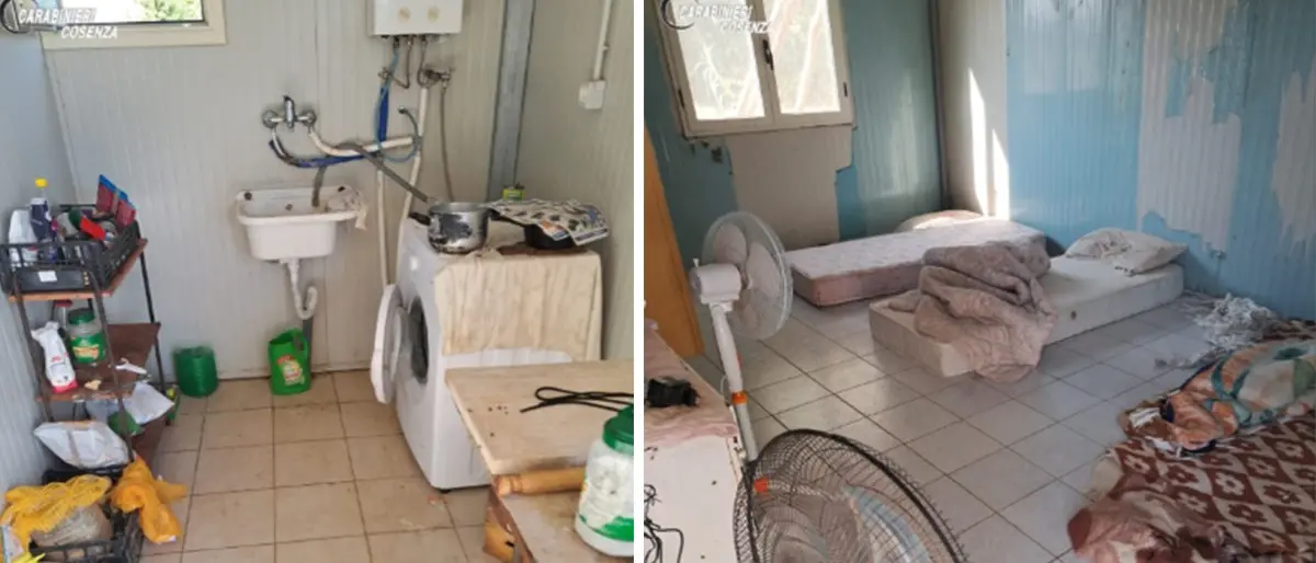 Costretti a lavorare 12 ore al giorno e dormire in un container nel degrado, sequestrata un’azienda agricola nel Cosentino